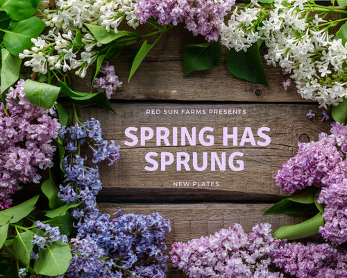 Spring has Sprung New Plates by Red Sun Farms